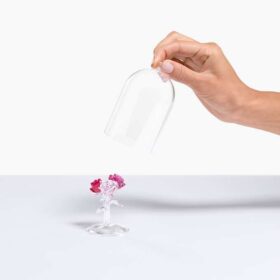 Buchet de trandafiri