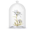 Clopot de sticlă „Florere” pentru aniversarea a 130 de ani Clopot de sticlă „Florere” pentru aniversarea a 130 de ani