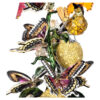 Clopot de sticlă „Idyllia Birds and Butterflies” Clopot de sticlă „Idyllia Birds and Butterflies”