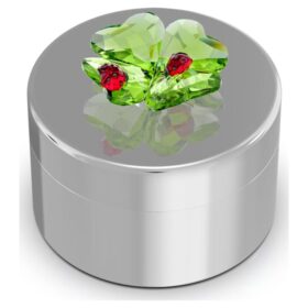Cutie decorativă Idyllia cu trifoi și buburuză