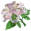 Florere Camellia Florere Camellia