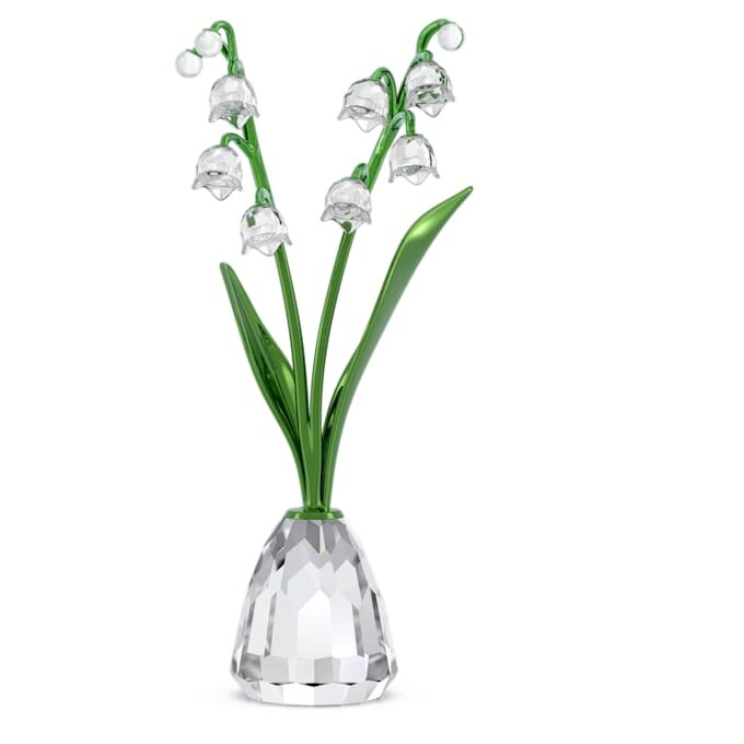 Florere Crinul văii Florere Crinul văii