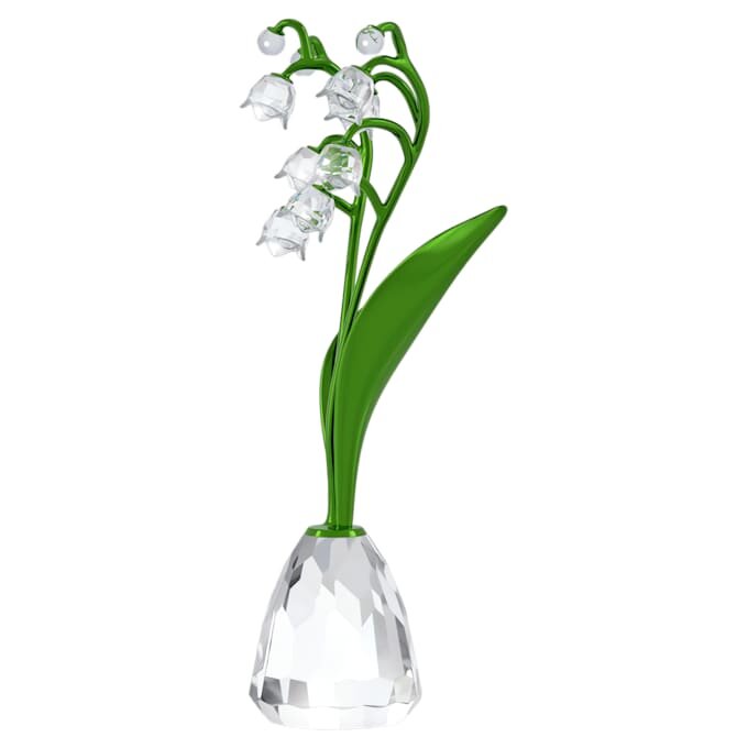 Florere Crinul văii Florere Crinul văii