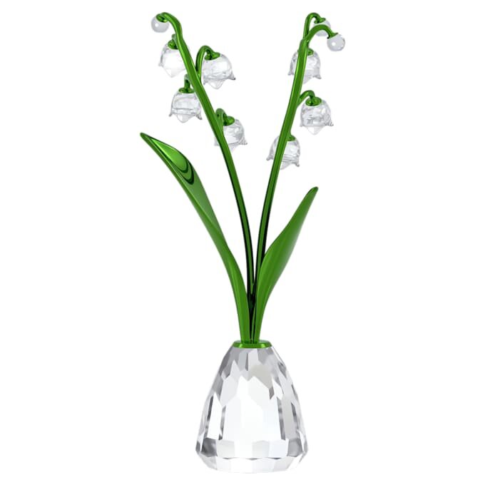 Florere Crinul văii Florere Crinul văii