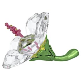 Florere Hibiscus mic