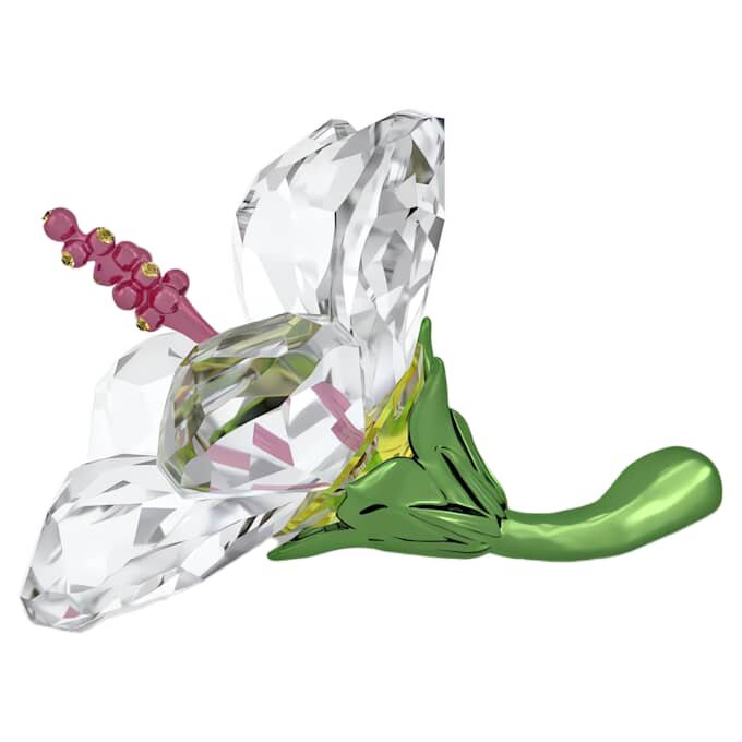 Florere Hibiscus mic Florere Hibiscus mic