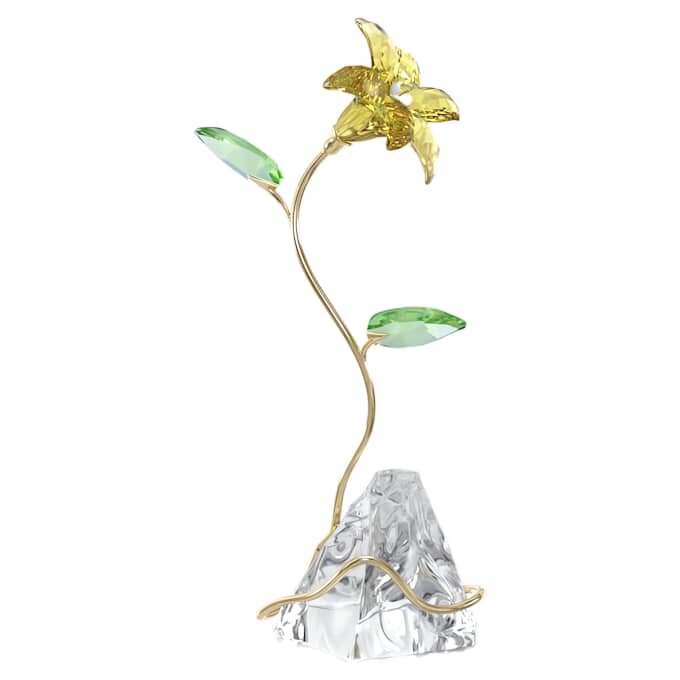 Florere Lily Florere Lily
