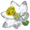 Florere Narcisă Florere Narcisă