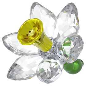 Florere Narcisă