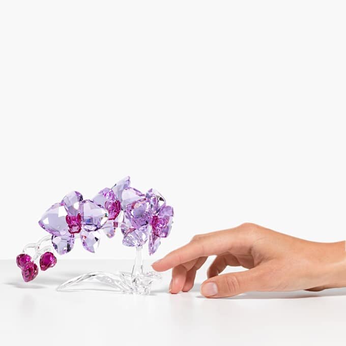 Flori de cristal – Orhidee Flori de cristal – Orhidee