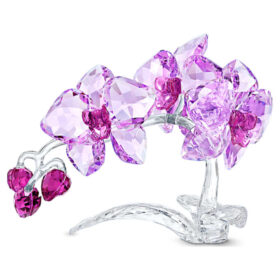 Flori de cristal – Orhidee Flori de cristal – Orhidee