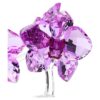 Flori de cristal – Orhidee Flori de cristal – Orhidee