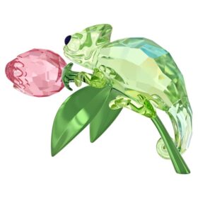 Idyllia Cameleon și Laleaua