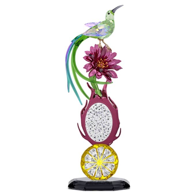 Idyllia Sugarbird și totemul cu fructul dragonului Idyllia Sugarbird și totemul cu fructul dragonului