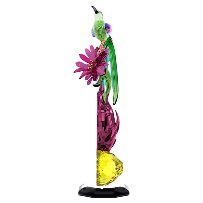Idyllia Sugarbird și totemul cu fructul dragonului Idyllia Sugarbird și totemul cu fructul dragonului