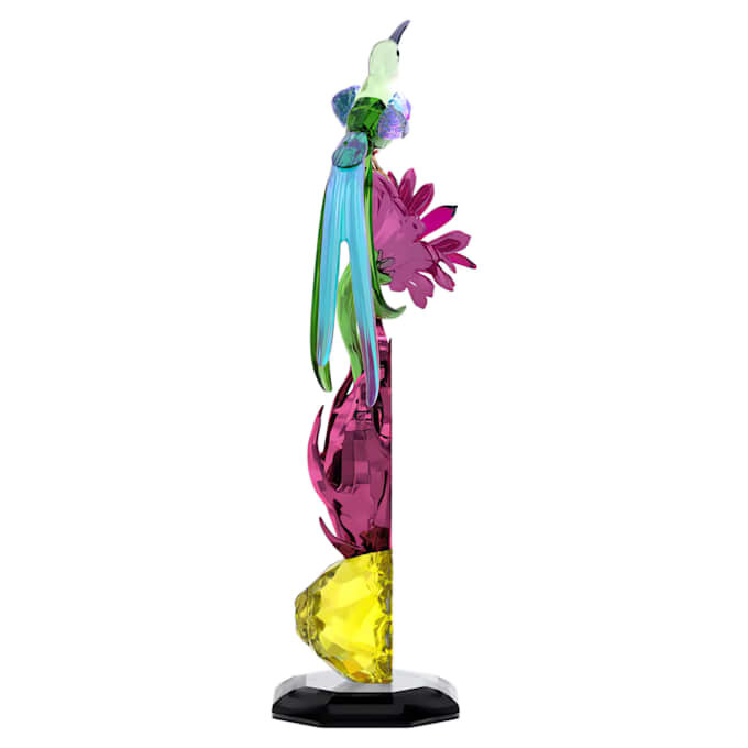 Idyllia Sugarbird și totemul cu fructul dragonului Idyllia Sugarbird și totemul cu fructul dragonului