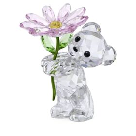 Kris Bear – O margaretă pentru tine