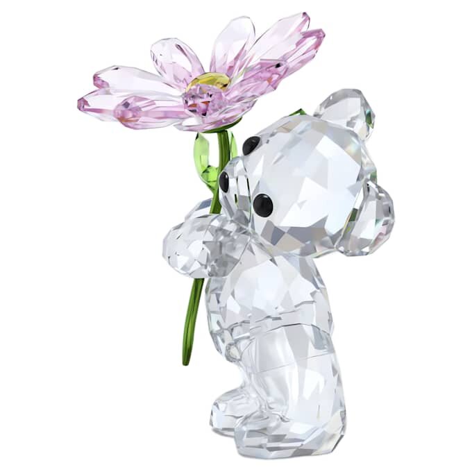 Kris Bear – O margaretă pentru tine Kris Bear – O margaretă pentru tine