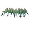 Myriad de cristale cu cinteze Gould Myriad de cristale cu cinteze Gould