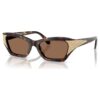 Ochelari de soare în formă de ochi de pisică, Sk6029, maro Ochelari de soare în formă de ochi de pisică, Sk6029, maro