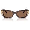 Ochelari de soare în formă de ochi de pisică, Sk6029, maro Ochelari de soare în formă de ochi de pisică, Sk6029, maro