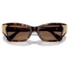 Ochelari de soare în formă de ochi de pisică, Sk6029, maro Ochelari de soare în formă de ochi de pisică, Sk6029, maro