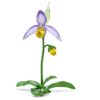 Orhideea „Florere Lady Slipper” Orhideea „Florere Lady Slipper”
