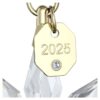 Ornament 3D ediție anuală 2025 Ornament 3D ediție anuală 2025