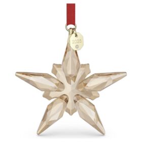 Ornament festiv ediție anuală 2025