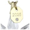 Set de ornamente 3D Ediție Anuală 2025 Set de ornamente 3D Ediție Anuală 2025