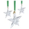 Set de ornamente ediție anuală 2025