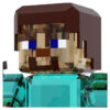 Steve din Minecraft Steve din Minecraft